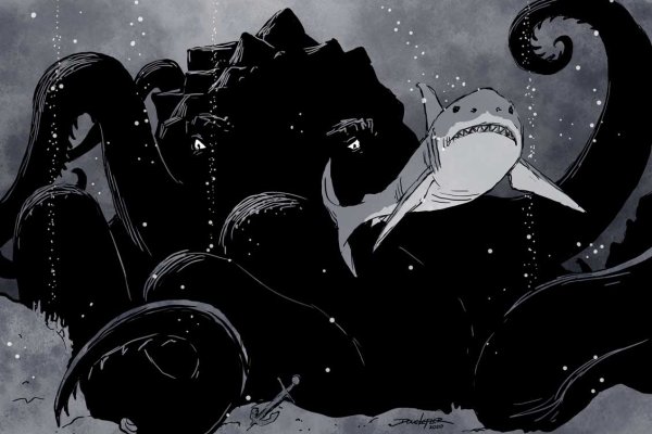 Kraken 24at