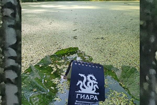 Войти на кракен