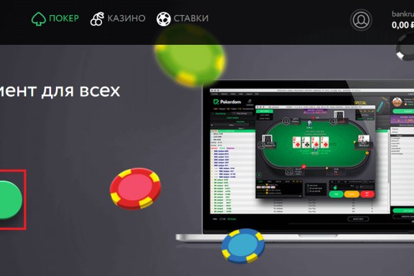 Kraken 5at