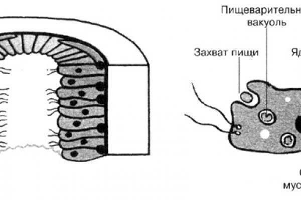 Кракен актуальная ссылка тор