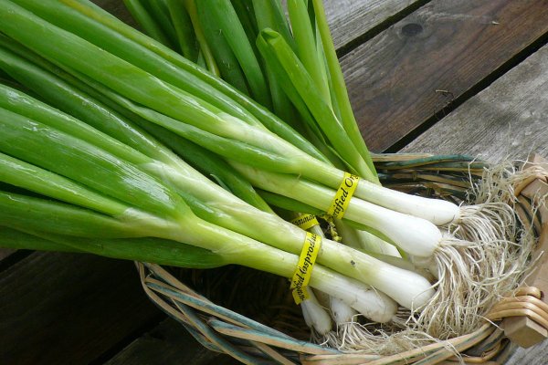 Даркнет маркет кракен onion