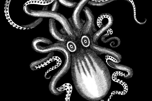 Kraken ссылки актуальные 2025 г