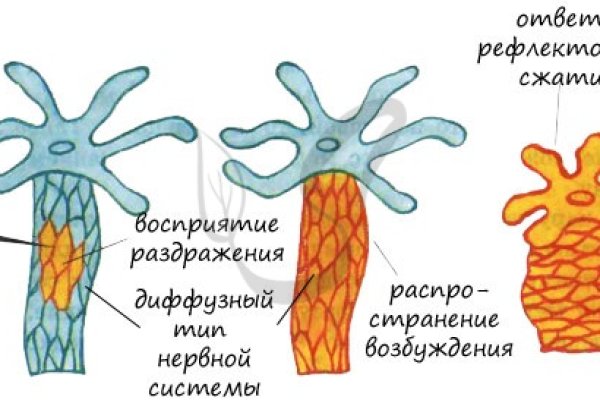 Kra31.cc