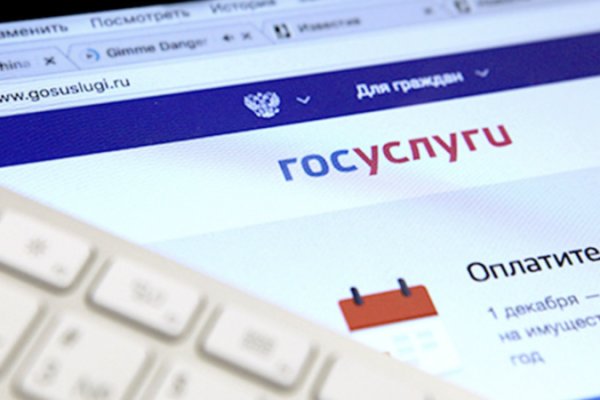 Кракен найдется все