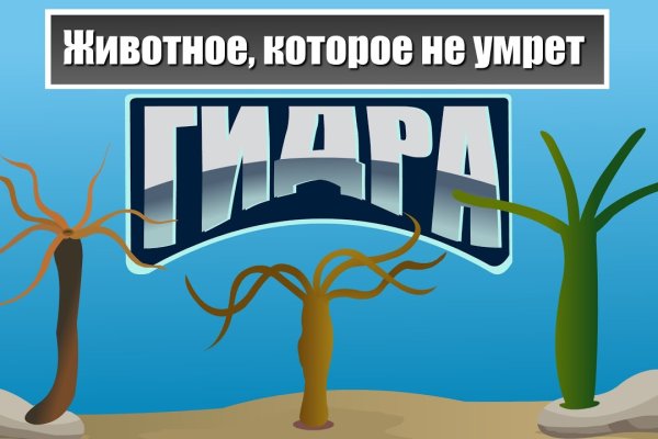 Кракен маркетплейс