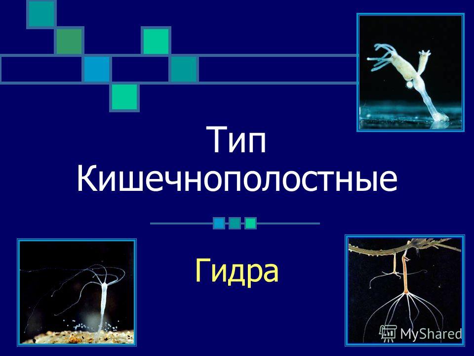 Кракен впн